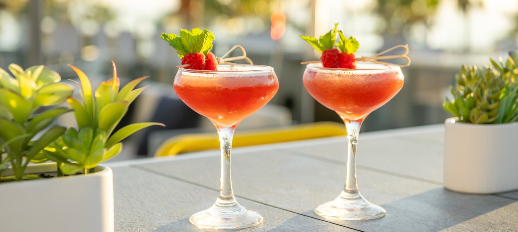 Home Tower39 Rooftop Lounge